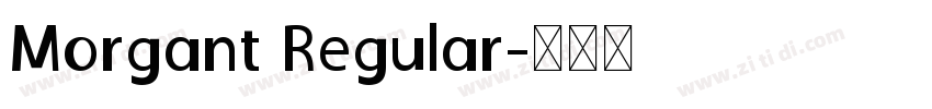 Morgant Regular字体转换